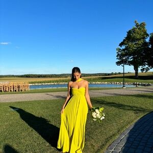 Brand new Delfi Collective Daphne Dress
